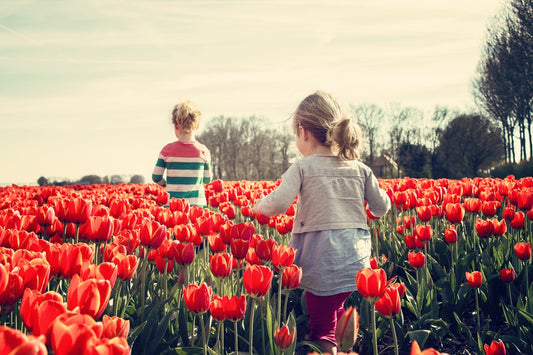 Ha inizio la Primavera