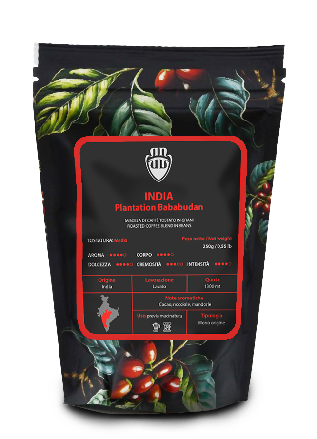 Caffè - India Plantation Bababudan - In Grani