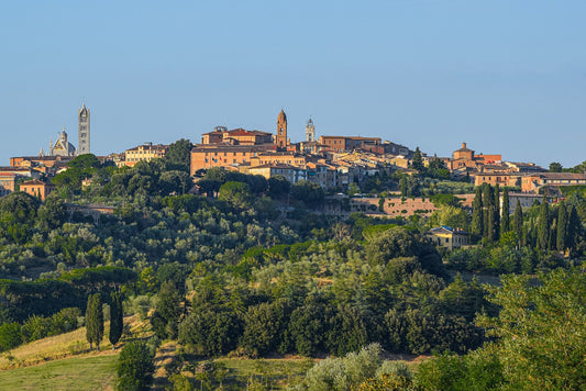 Sant'Ansano, the symbol of Siena celebrated on December 1st